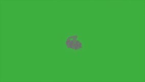 Animation video loop smoke explosion element effect on green screen background