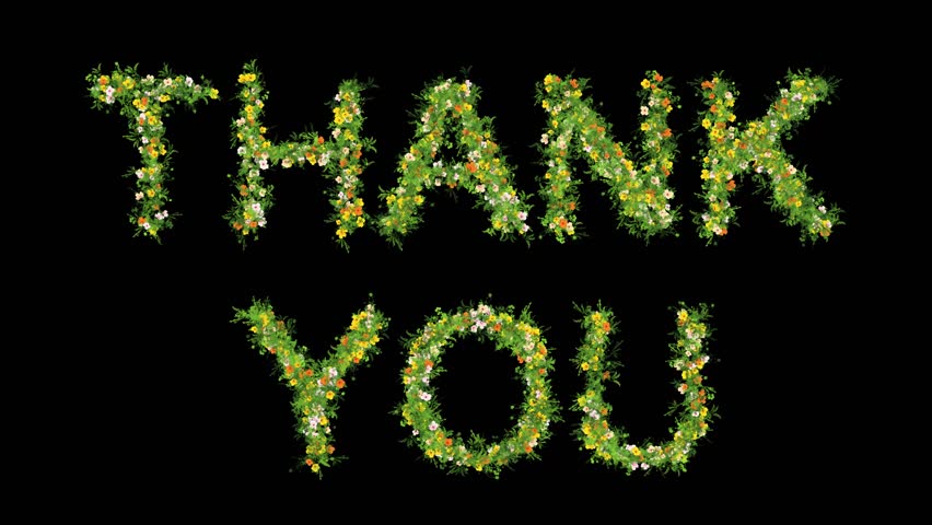 Thank You text with green grass and colorful flowers on plain black background - Powered by Shutterstock - Get 15% off with code: PIKWIZARD15