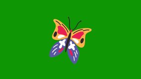 Butterfly Premium Quality animation green screen 4k, The video element of on a green screen background, Ultra High Definition, 4k video, on a green screen background.