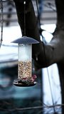 House finch and sparrow on bird feeder in vertical format