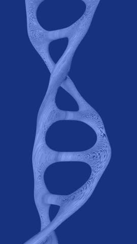 3D DNA molecule. Biological information in the form of a genetic code.