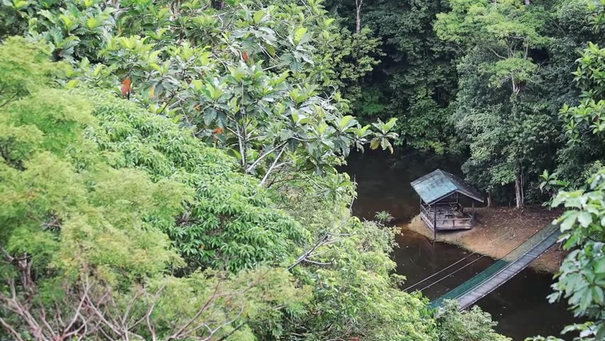 Beautiful houses on the lake in Borneo Rainforest Discovery Center Sabah Borneo Malaysia