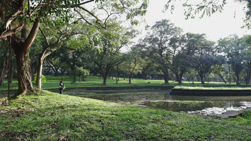 Sun-dappled park with girl by the lake, green trees, tranquil atmosphere, daylight