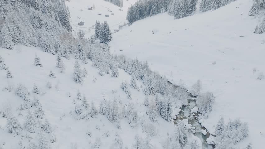 Captivating Winter Wonderland in the Mountains. Snowy Forest and Sun-Dappled Trees.