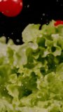 SUPER SLOW MOTION, CLOSE UP, PROBE LENS: Fresh lettuce followed by ripe tomatoes fall in slow motion on black background. Falling vegetables close up. Detailed view of bouncing and splashing veggies.