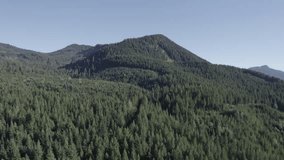 Ungraded wide-angle aerial drone footage of mountains and forests on a sunny afternoon in Washington State.