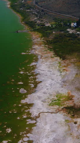 Beautiful scenery of Mono Lake, California, United States. White salty scurf on the waterfront verging with green grass and then mountain. Vertical video.