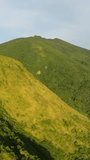 Tropical landscape: Mountain with green hills and valley in Camiguin Island. Philippines. Vertical video.