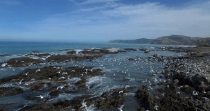 NEW ZEALAND – MARCH 2016 : Aerial shot over beach with birds flying in view on a beautiful day
