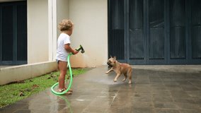 Young child stays, trying to wash driveway with hose, while playful puppy runs around, trying to catch water stream. Wet and joyful scene in suburban district, slow motion shot. - Powered by Shutterstock - Get 15% off with code: PIKWIZARD15
