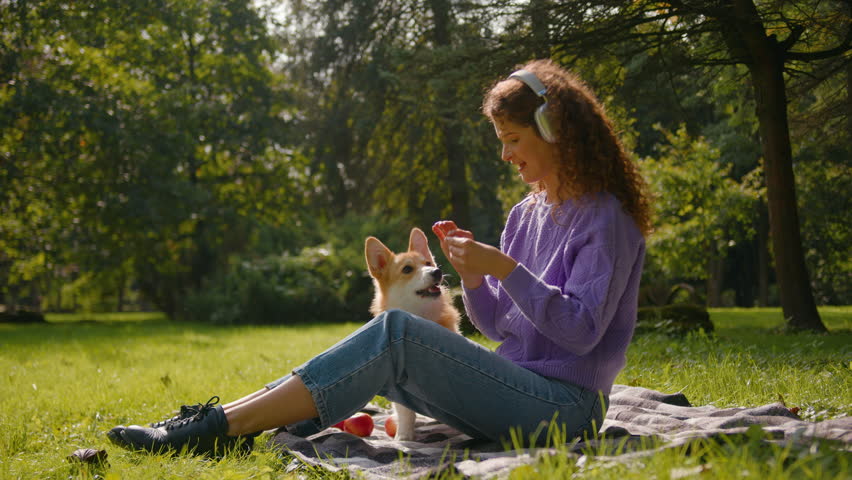 Caucasian woman playing with welsh corgi playful dog in park grass lawn happy joyful girl listen music headphones play with lovely puppy doggy animal feeding pet food on summer weekend picnic outdoors Royalty-Free Stock Footage #3451073437