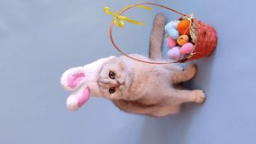 Cute white cat in hat with bunny ears and Easter basket with colorful eggs on blue background