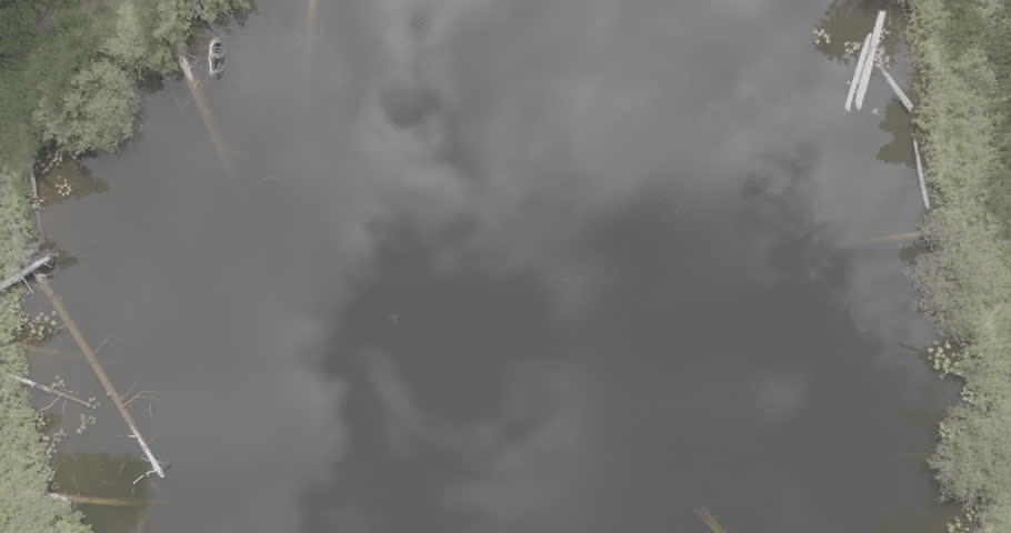 Aerial drone footage ascends and rotates above a serene, reflective lake encircled by the dense evergreens of Washington