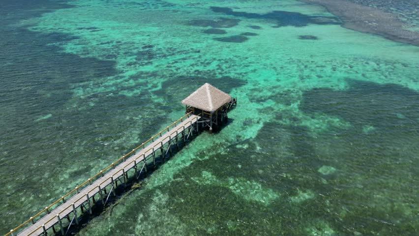 Fiji Jetty Close up with reef on beautiful day Royalty-Free Stock Footage #3451296581