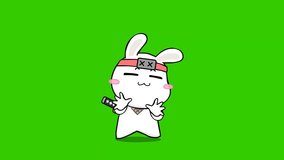 Rabbit Ninja animated on greenscreen for your video
