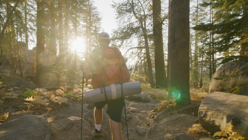 A hiker with a large orange backpack carefully makes his way over a rocky forest trail, surrounded by dense woodland at beautiful sunset. Slow Motion, 4K RAW.  Royalty-Free Stock Footage #3451424195