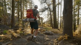 A hiker with a large orange backpack carefully makes his way over a rocky forest trail, surrounded by dense woodland at beautiful sunset. Slow Motion, 4K RAW.  - Powered by Shutterstock - Get 15% off with code: PIKWIZARD15