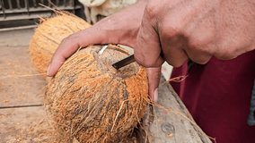 Man breaking fresh raw organic coconut with knife, cut open in half coconut water splash heap of many coconuts 4K slow motion video , footage in coconut plantation.