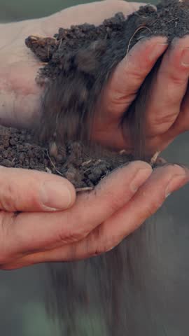 farmer hands pour into hands, priming, agriculture farm, soil structure observation, type differentiation, agricultural worker fieldwork, soil composition investigation, farmer soil interaction Royalty-Free Stock Footage #3451760169