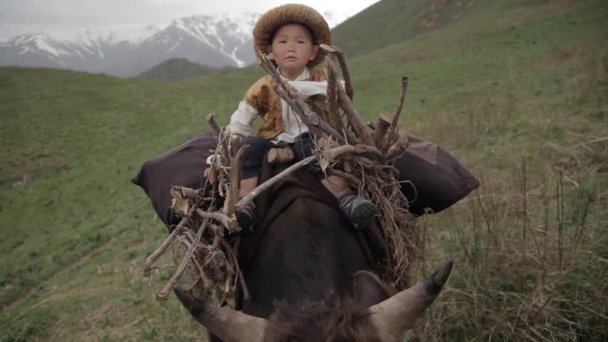 A boy rides an ox harness. A woman leads an ox by the bit