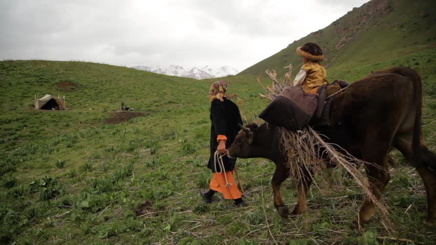 A boy rides an ox harness. A woman leads an ox by the bit