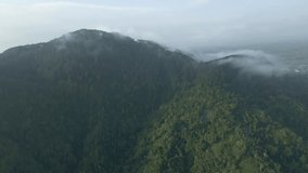 Established drone shot of rainforest on the mountain range. Greenery landscape of tropical jungle. 4K aerial view.