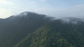 Drone fly ascending over forest and hill with dramatic fog shrouded the peak. Aerial view of greenery landscape of forest.