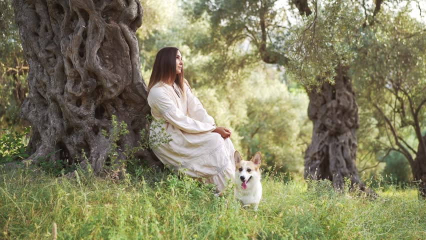 A serene moment unfolds as a woman enjoys playtime with joyful dog Welsh Corgi Pembroke in a lush grove Royalty-Free Stock Footage #3451984609