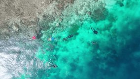 Drone video of snorkelers exploring the stunning underwater world of a coastal reef