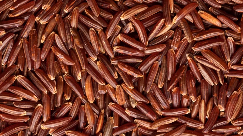 Texture of Organic Raw Red Rice. Red Rice Background. Healthy Eating Concept Royalty-Free Stock Footage #3452114495