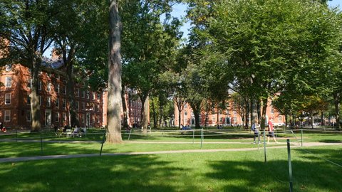 CAMBRIDGE, MA - OCTOBER, 28th 2017: Harvard University - Students walking under the green trees on the Old Yard square with freshman dormitories in background.