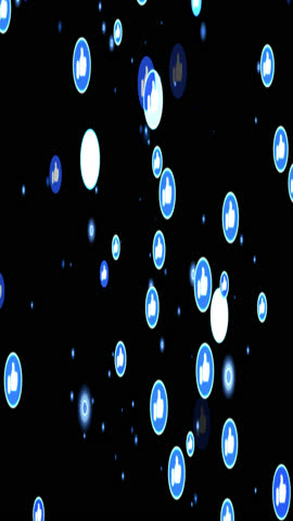 Shutterstock Video