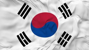 South Korea flag animation seamless loop. 4K High-Resolution Video