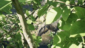 super cool 3d T-Rex in the forest - Powered by Shutterstock - Get 15% off with code: PIKWIZARD15