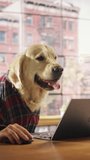Vertical Screen: Golden Retriever Dog in Checkered Shirt Sitting Behind a Table and Working on Laptop Computer at Home. Human Hands are Using Keyboard and Mouse. Person with Animal Head Funny Concept
