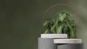 green plant and wall in 3d video render of empty space orange terrazzo pattern podium seamless loop shadow animation
