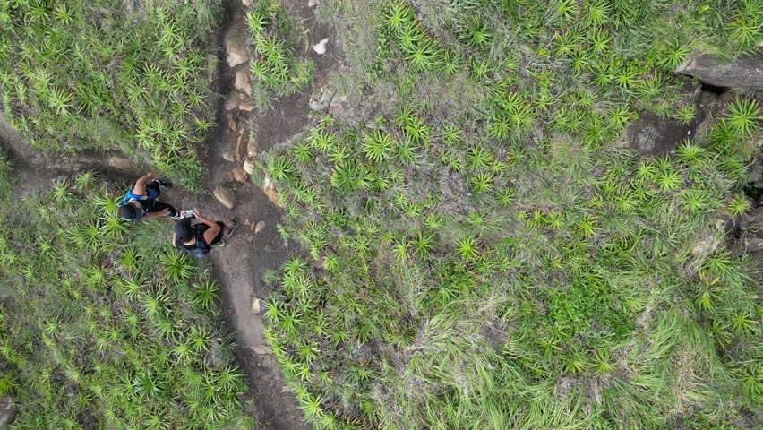 Tropical Rain Forest Beach Island South Brazil Florianopolis Lagoinha do Leste Trail Running Nature Natural Outdoors Activities Green Atlantic Ocean Culture Energy Tourism Drone Tradition Preservation
