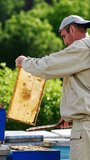 Apiculturist in uniform stands at the apiary and uses brush to get rid of bees on the frame. Lots of bees flying around. Nature backdrop. Vertical video.