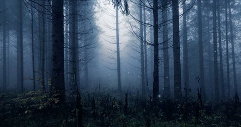 Dark blue colored foggy morning forest fairytale with fireflies lights movement. 