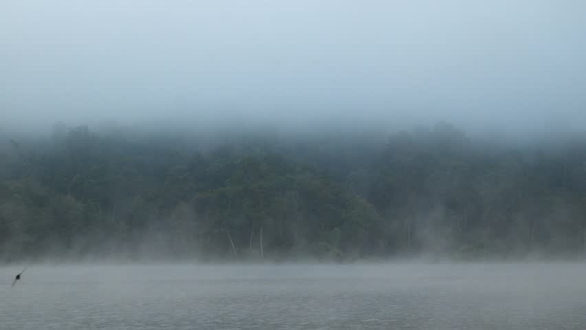 Foggy Lake in the morning, Fog floating on the water.