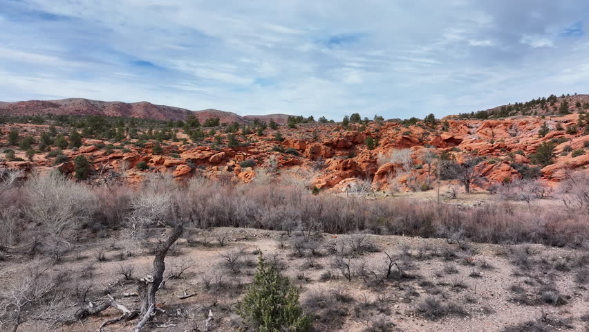 Aerial desert dry river to red rock forest Utah. Gunlock State Park is a state park of Utah. Steep red rock sandstone and black volcanic landscape. Recreation hiking. Natural environment.