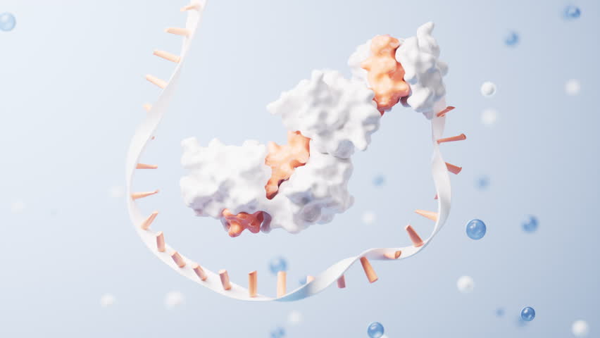 RNA and proteins with biological concept, 3d rendering. Motion graphic.