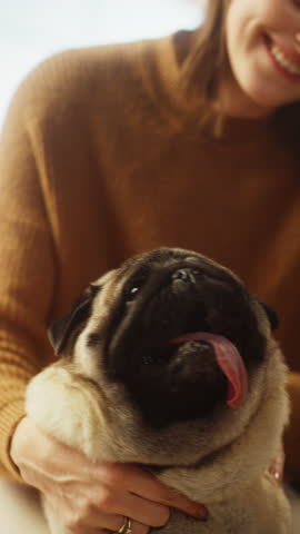 Vertical View Beautiful Young Woman Cuddles Her Adorable Little Pug at Home. Girl Plays with Her Dog, Gorgeous Pedegree Best Friend. She Pets and Scratches Super Happy Doggy, Have Fun. Slow Motion