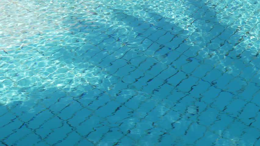 Palm Shadow On Water Surface. Swimming Pool With Silhouette Of Tropical Tree in sunny day, background