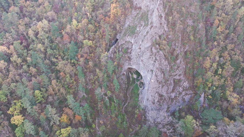 Aerial View of the Rock Cave Surrounded by Trees