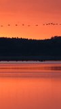 4K Vertical: dawn scenery over a lake, Germany