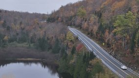 Aerial video of roads and fall trees with fall colors in New England