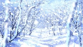 Moving Through a Forest Winter Wonderland Video