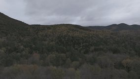 Aerial video of fall trees with fall colors in New England
