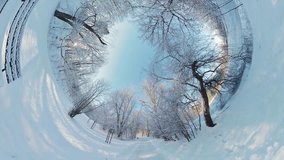 Embark on a captivating journey through a serene winter forest in this 360-degree video. The immersive footage captures the enchanting beauty of snow-covered trees, creating a magical atmosphere. As